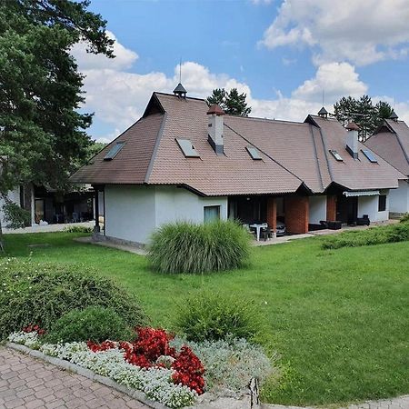 Apartament Kraljevi Konaci Olja Zlatibor Zewnętrze zdjęcie