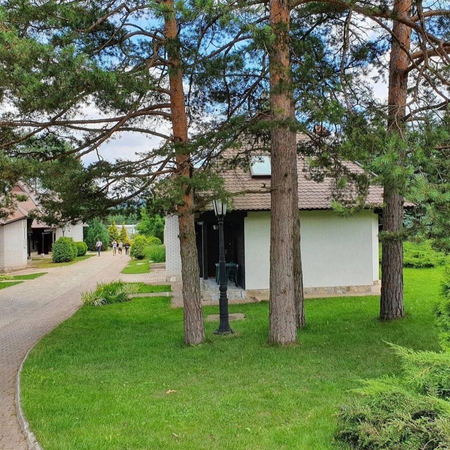 Apartament Kraljevi Konaci Olja Zlatibor Zewnętrze zdjęcie